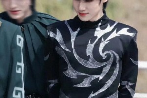 精选图片集锦：视觉盛宴一览