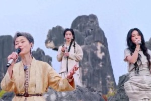 叶童组敬业真实，陈德容躺赢引争议