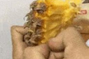 搞笑生活瞬间：徒手吃菠萝到江疏影写真