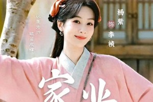 杨紫《家业》杀青：徽墨文化剧的真诚与争议