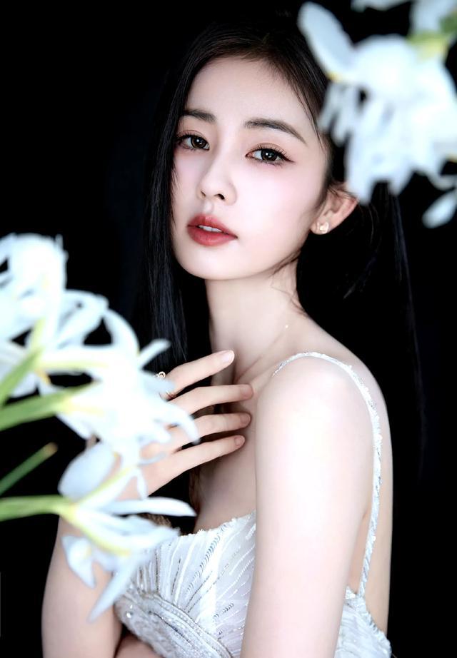 白鹿写真2