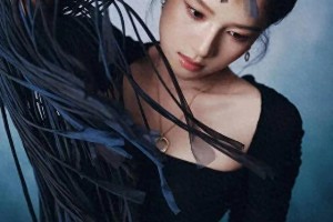 张婧仪华表奖黑裙造型惊艳全场